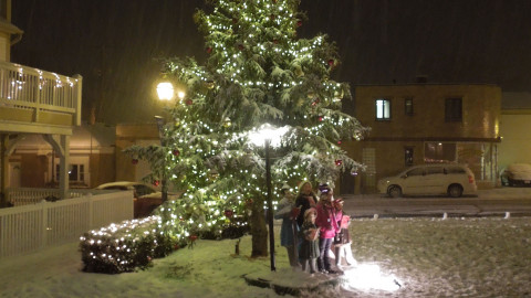 Holiday Gathering and Christmas Tree Lighting