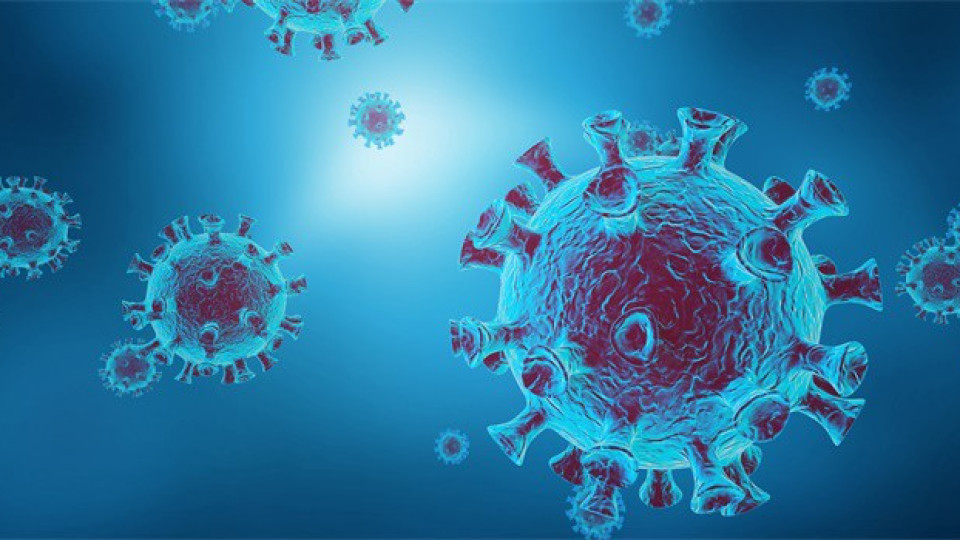 Covid-19 Information & Resources