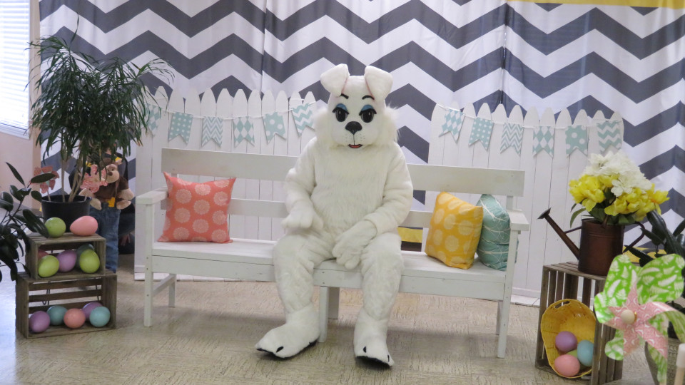 Photos with the Bunny