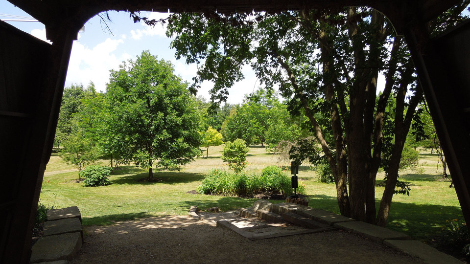 Arboretum 1