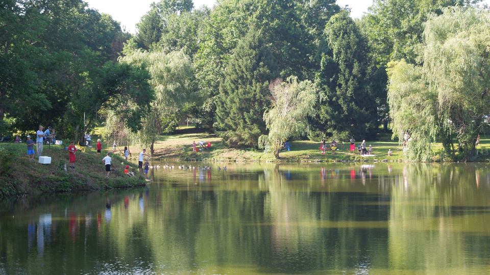 Sycamore Creek Park Pond 1