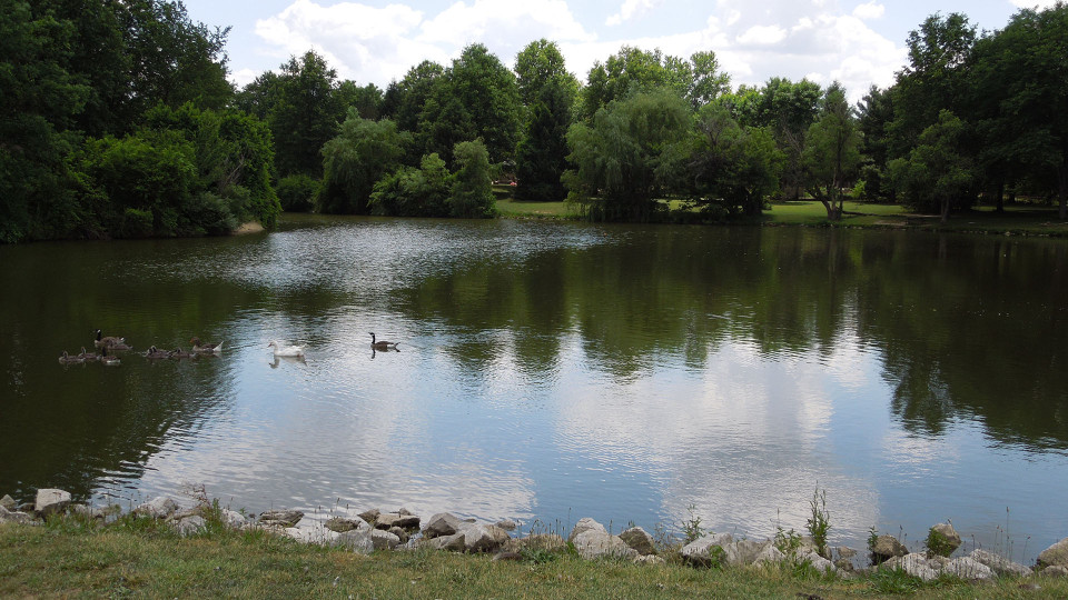 Sycamore Creek Park Pond 2